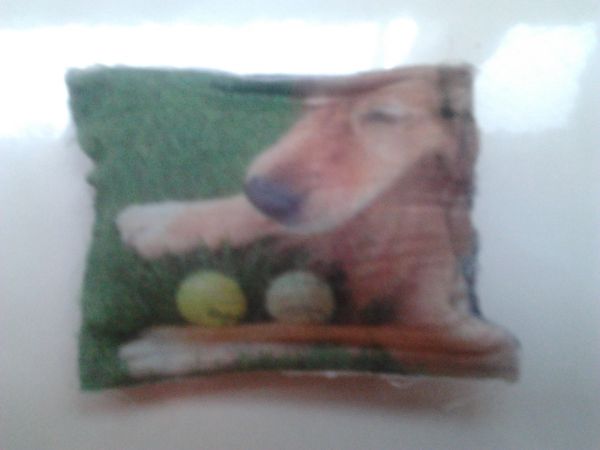 Sache em tecido com foto